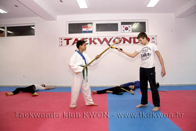 taekwondo kwon training